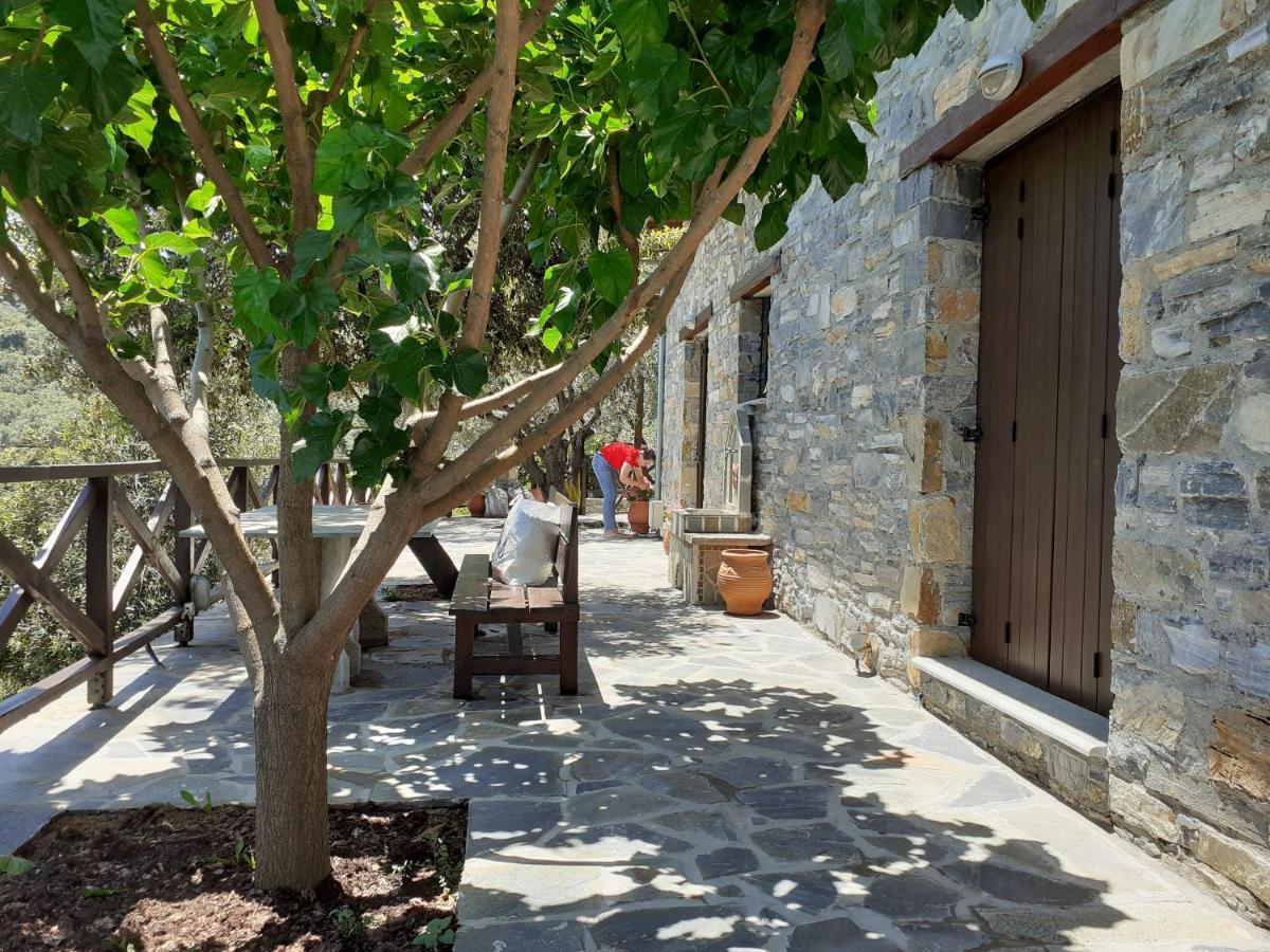 Limnionas Sunview Villa Xorychti Buitenkant foto